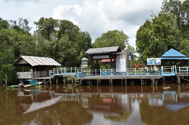 7. Tanjung Putting National Park